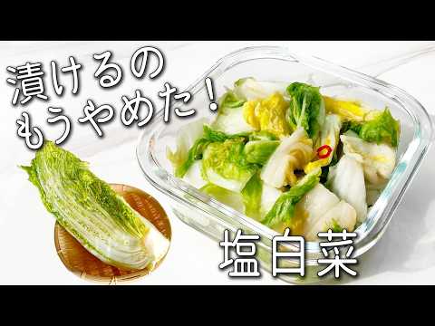 【白菜 レシピ】余った白菜はコレにして！ 5分で超簡単！ 毎日食べたい美味しさ☆ 塩漬け白菜 ご飯がすすむ 白菜 副菜レシピ4品 白菜スープ 常備菜 ダイエット