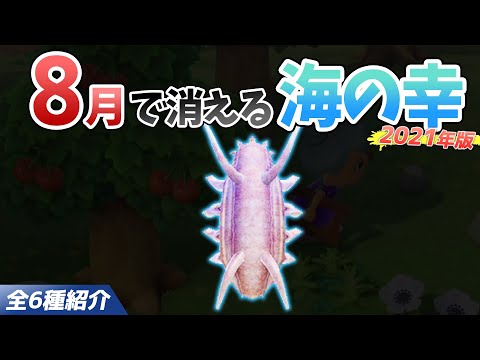 【あつ森】8月で消える海の幸を全て紹介！出現時間や影のサイズ・値段・捕まえ方のコツも徹底解説！センジュナマコやコウモリダコなどレアを効率よく捕る方法【あつまれどうぶつの森　8月海の幸図鑑コンプ】