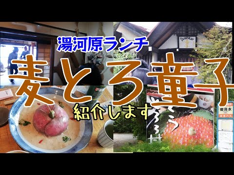 【湯河原ランチ】美味しいとろろ丼が食べれることで有名な「麦とろ童子」に行きました。「麦とろ童子」は静岡県熱海市にありますが、神奈川県湯河原温泉との県境近くにあり、最寄り駅は、湯河原駅になります