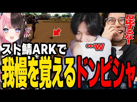 【ARK】スト鯖にて、下ネタに気を付けようとするものの、結局ダメなドンピシャ・鉄塔ｗ【SANNINSHOW/三人称/橘ひなの/乾伸一郎/葛葉/だるまいずごっど/釈迦/ハセシン/VCR/切り抜き】