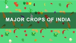 Major Crops of India - Rabi, Kharif, Zaid crops | Indian Agriculture, Geography