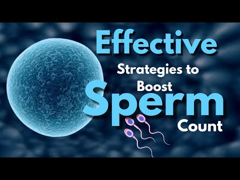 The Most Effective Strategies to Boost Sperm Count and Improve Fertility.