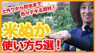 5 Useful Ways to Use Rice Bran in Cultivation Learned from Japanese Farmers !