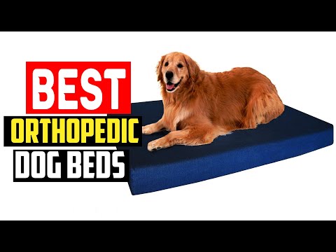 ✅Top 5 Best Orthopedic Dog Beds in 2024