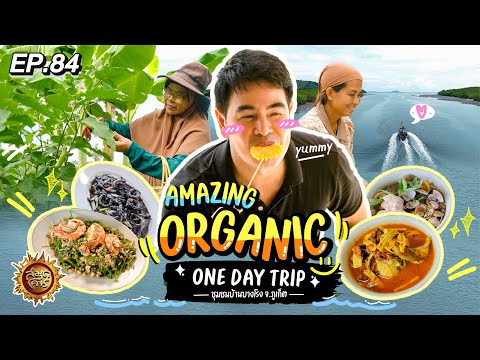 Amazing organic one day trip ชุมชนบ้านบางโรง จ.ภูเก็ต | สมุดโคจร EP.84 | 18.02.67 [Full]