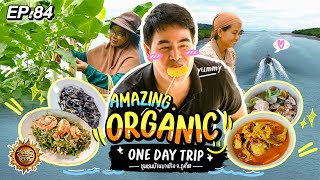 Amazing organic one day trip ชุมชนบ้านบางโรง จ.ภูเก็ต | สมุดโคจร EP.84 | 18.02.67 [Full]