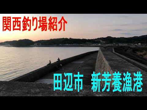 新芳養漁港（しんはやぎょこう）