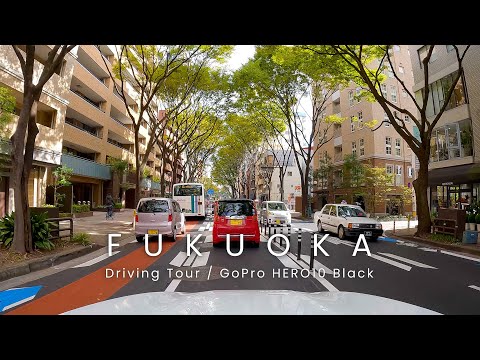 【4K】福岡ドライブ 香蘭短大前 天神 大濠公園 高宮 FUKUOKA Drive / GoPro HERO10 Black【#68】