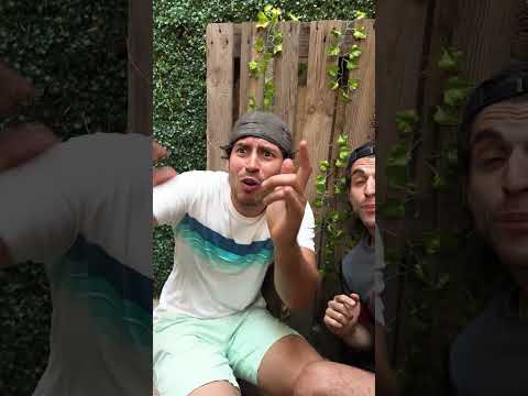 JUGUETES CHINOS #viral #comedy