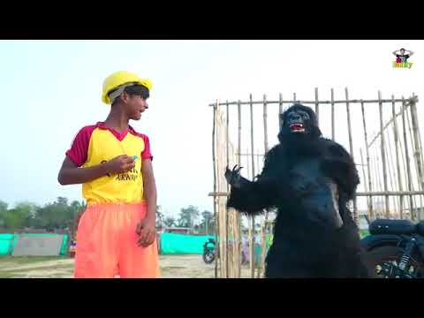 Must Watch Very Special New Comedy Video 😎 Amazing Funny Video 2023 Episode 206 By My Family.