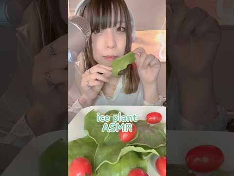 【ASMR 咀嚼音】アイスプラント │Ice plant 珍しい野菜食べてみた。#shorts