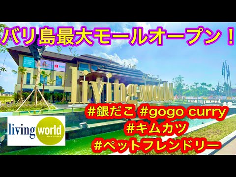 【バリ島暮らしVlog】バリ最大級のモールLiveing Worldオープン！ペット連れOK🐕