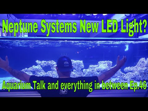 Neptune Systems New LED Light for our Saltwater Aquarium?