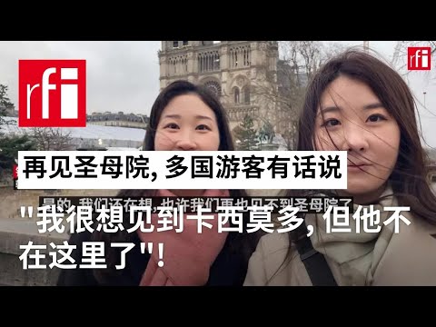 再见圣母院，多国游客有话说: “我很想见到卡西莫多，但他不在这里了！”