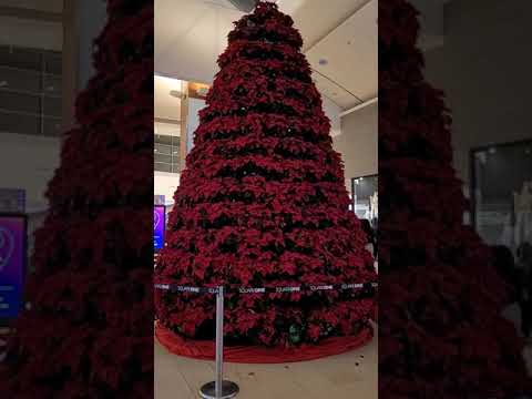 Beautiful Christmas Tree #squareonemall  #christmas  #beautiful   #shortvideo