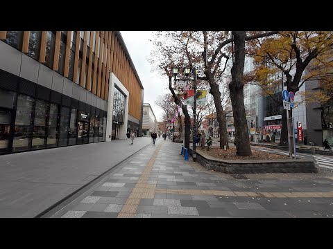 【東京編】府中駅から始まる散歩：４K Fuchu