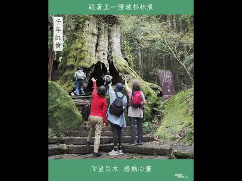 放鬆快樂之旅-愛上杉林溪│Right One正一旅遊