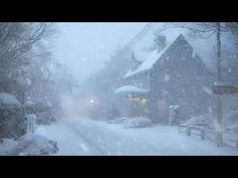 Howling Wind & Blowing Snow for Sleep, Relax | Wind Sounds | Winter Storm & Icy Snowstorm Ambience