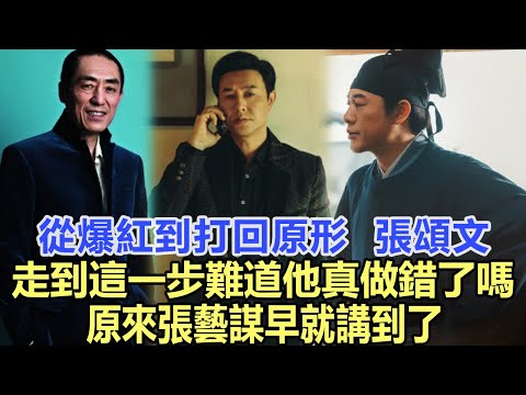 從爆紅到“打回原形”，張頌文走到這一步，難道他真的做錯了嗎？原來張藝謀早就講到了！娛樂明星#趙麗穎 #黃曉明 #張頌文 #張藝謀