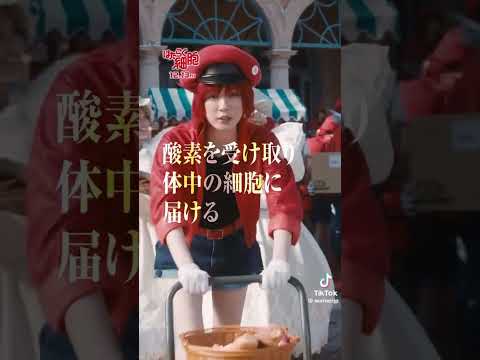 佐藤健くん×永野芽郁ちゃん 遂に来週の13日金曜日全国ロードショーです😽🩵 #佐藤健 #satohtakeru #永野芽郁 #はたらく細胞