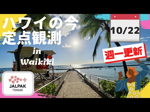 【ハワイの今】ワイキキ定点観測  2024年10月22日