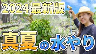 【初心者が知らない! 】枯らさないための真夏の水やりをプロが徹底解説します♪【初心者向け】【ガーデニング】【園芸チャンネル】