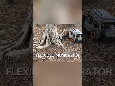 Mowers play hide-and-seek！ #mowing #electricmower #lawnmower #lawncare#lawnmower #mower #tool