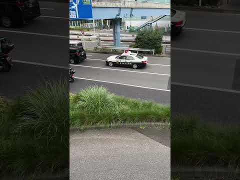 警察　パトカー　警察　パトカー　#policeman #police #警察官 #警察24時 #shortvideo #japan かっこいい#緊急出動#警察車両 #shorts #policecar