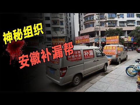 神秘的安徽补漏帮，无人敢购买却全城乱转，神秘组织有什么秘密？