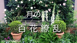 月の庭//百花繚乱