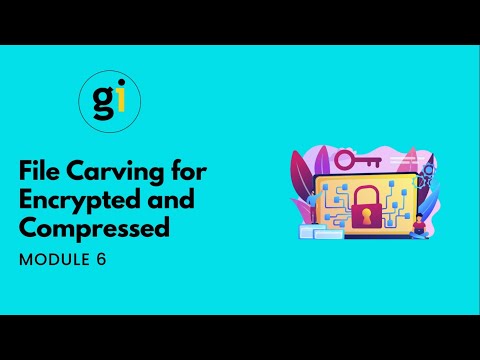 MODULE 6 -  File Carving for Encrypted and Compressed Files