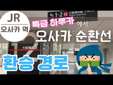 【간사이공항 특급 하르카】 오사카 순환선 환승 루트