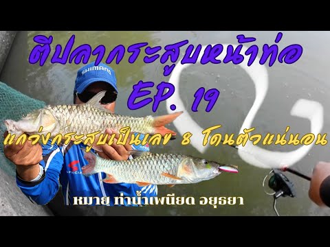 แกว่งกระสูบเป็นเลข 8 มีตัวโดนแน่นอน