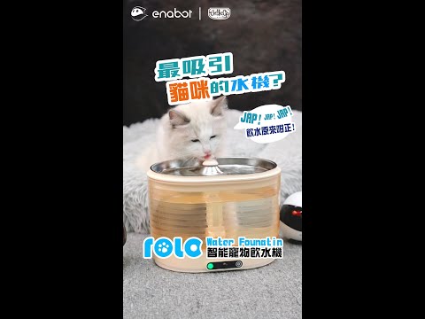 【Enabot Rola 智能寵物飲水機】🐾