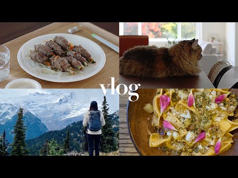 VLOG | Steamed Beef Rolls with Veggies Recipe (Low FODMAP, for IBS), Mt.Rainier HikingㅣSeattle Life