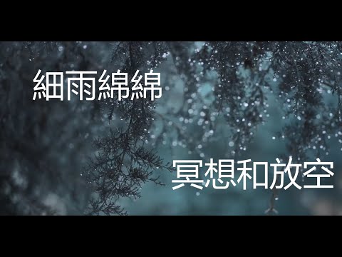 《雨中森林白噪音🌳 40 分鐘極致放鬆體驗》