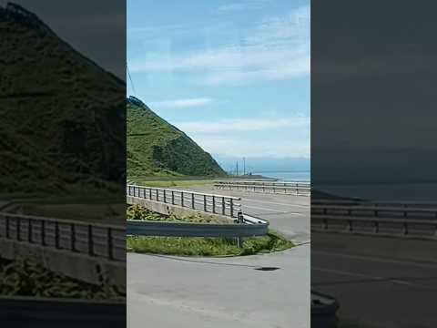 【車窓より夏の北海道】旭川に向かって走っています🚌 #北海道#Hokkaido#shorts