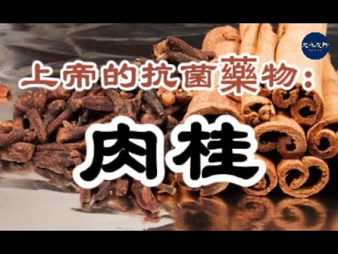 【健康】肉桂是上帝的天然抗菌藥物【文化視野】