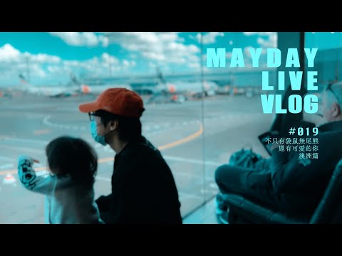 五月天 MAYDAY LIVE VLOG EP019 ／不只有袋鼠無尾熊 還有可愛的你 澳洲篇