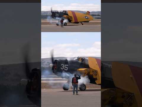 TBM Avenger & Sea Fury start-up