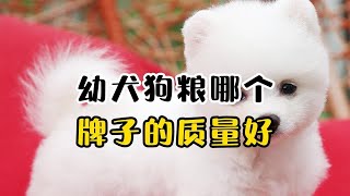 哪个品牌的幼犬狗粮好？看这篇就够了！