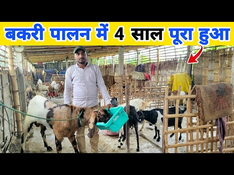 बकरी पालन ने पूरा जीवन बदल दिया | Successful goat farmer