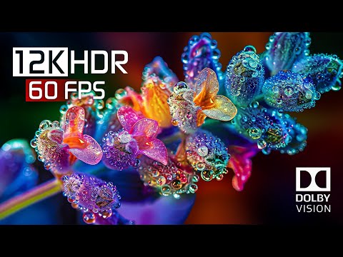 12K HDR Video ULTRA HD 60 FPS - Dolby Vision