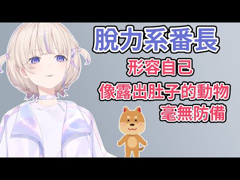 【vtuber中文翻譯】番長的咬字不清是因為太放鬆!? 形容自己平時的狀態像露出肚子的小動物【轟はじめ】