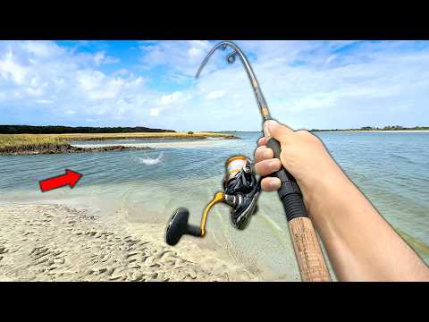 2 Days Saltwater Creek Fishing from shore! (Catch and Cook)