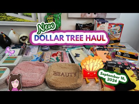 NEW DOLLAR TREE HAUL!  Everything was $1.25! September 16, 2024