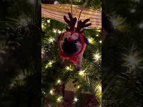 Doug The Pug’s Ornaments