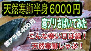 『寒ブリさばいてみた！今夜は鰤しゃぶで決まり！天然寒鰤半身6000円〜』令和6年12月8日の激安魚屋@福井県敦賀市相木魚問屋