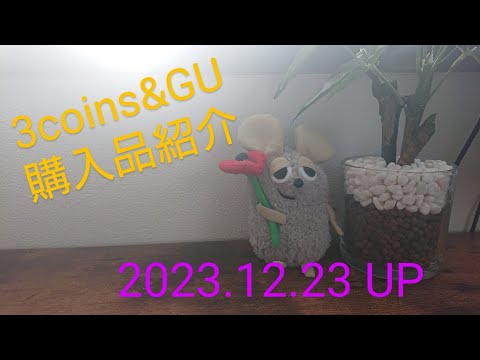 【Haul】3coins&GU購入品紹介＊2023.12.23/winter sale