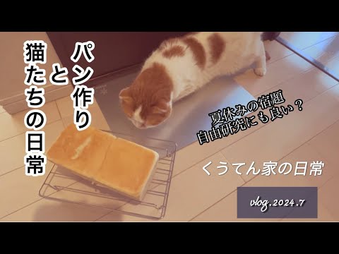 【料理】夏休み/自由研究になる？パン作り/40代主婦/中年夫婦/